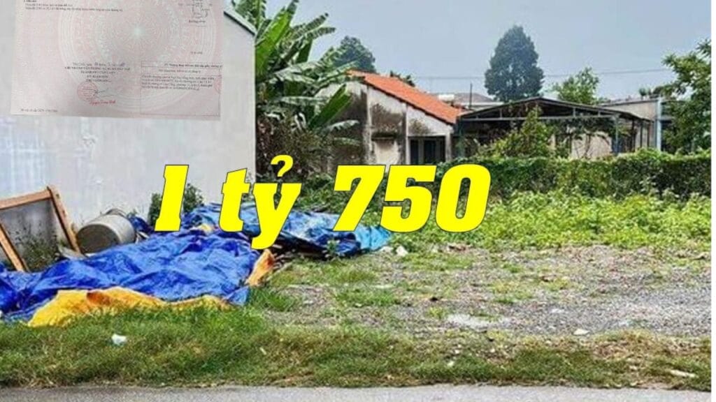 Bán Đất Tại Tân Vĩnh Hiệp, Tân Uyên, Bình Dương Bán Đất Tại Tân Vĩnh Hiệp, Tân Uyên, Bình Dương