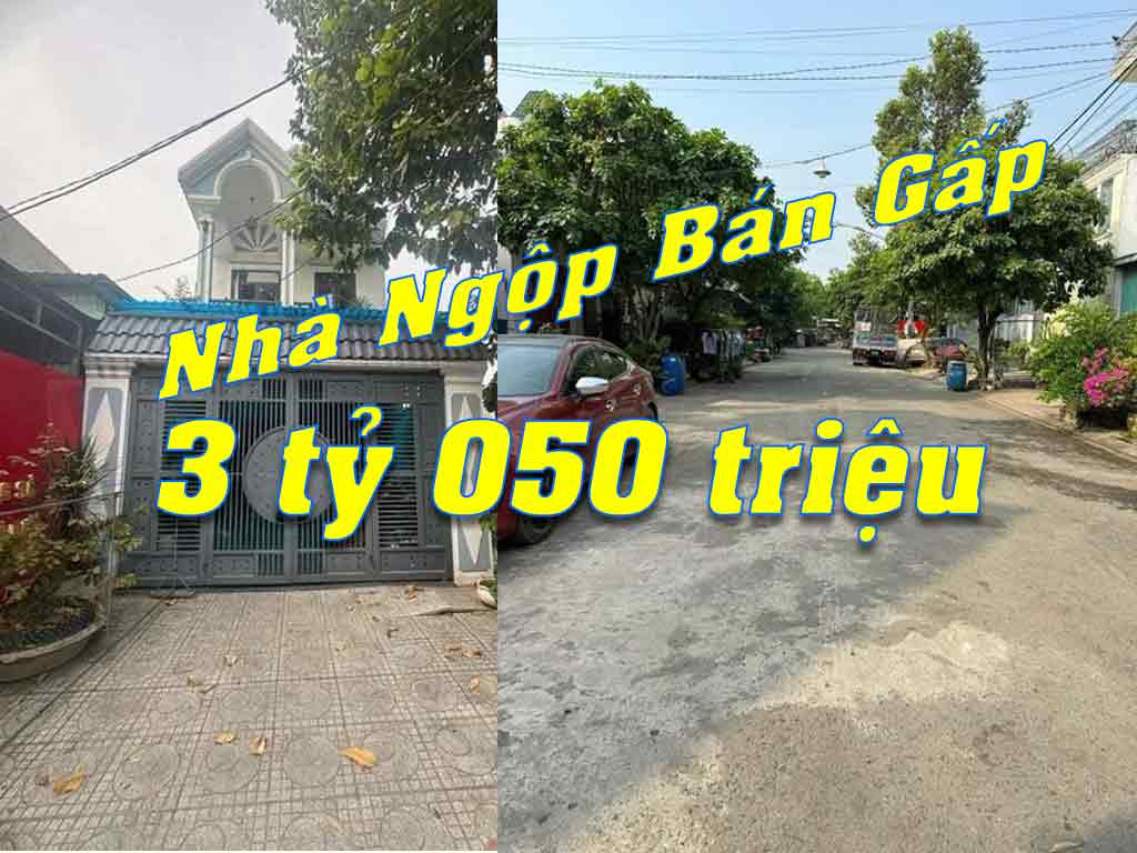 nha-ngop-ban-gap nha ngop ban gap