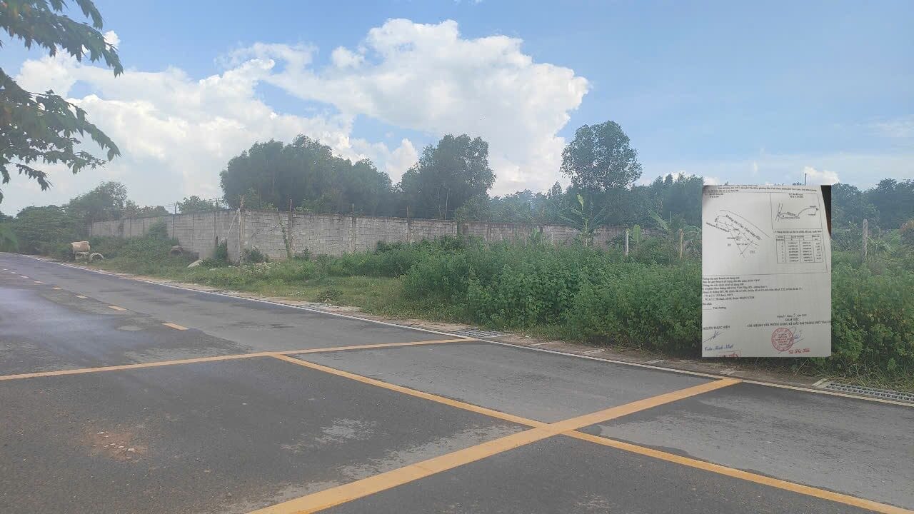 Đất Mặt Tiền 12m Phường Tân Khánh Giá Chỉ 1.45 Tỷ / Nền